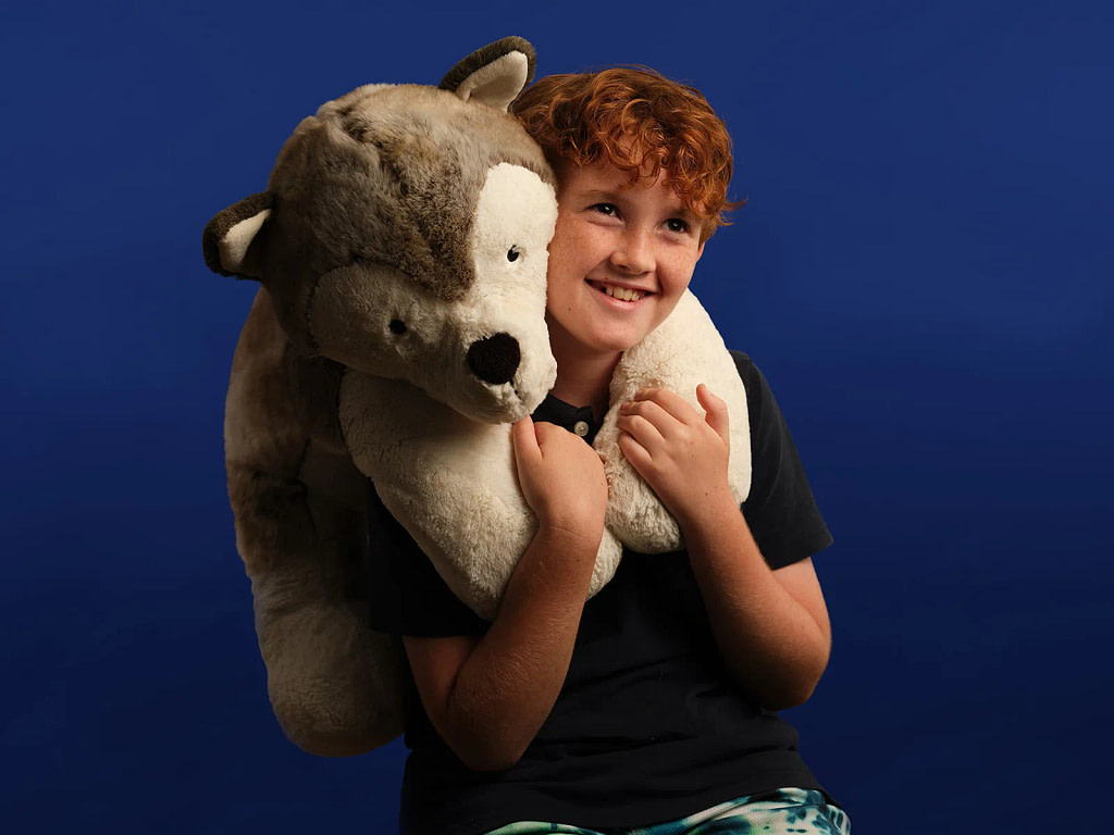 Studio animal portrait photography. Blenheim Cavalier King Charles Spaniel puppy wearing a yellow christmas jumper poses in front of a powder blue background